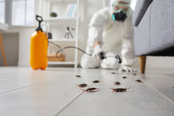 Commercial Kitchen Cockroach Control in Preston Heights